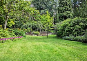 Optimiser l'expérience du jardin à Conchez-de-Bearn